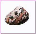 Leopard Jasper Leopard Jasper